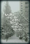 캘리그라피 글귀(감성글귀) | 좋은 말, 손글씨, 수채화 작가