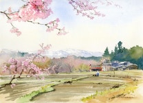 「수채화」おしゃれまとめの人気アイデア｜Pinterest｜서진 이 | 水彩風景, 水彩画のアート, 水彩画の芸術家