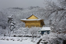 수국사 - Google 검색 | Old pictures, House styles, Pictures