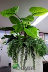 artificial landscape 실내조경 , 인조실내조경 , artificial  indoor landscape , planterior - 2020