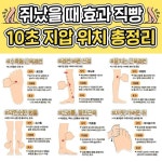 부기 위스키(boogie whisky) | 술잘알 PICK 위스키 종류별 특징 + 추천 총정리 - 정보지식사이트 - 2023 | 위스키, 건강, 지식