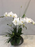 Orchid  arrangements에 있는 Juyeon Kim님의 핀