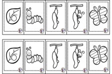 Pin de Jaieun Jung em 곤충 | Ciclo de vida da borboleta, Ciência para crianças, Educação infantil
