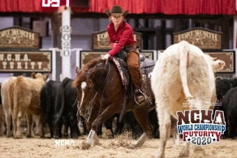 Pin by LBM on yeehaw | Ncha, World championship, Horses