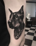 2,715 Me gusta, 15 comentarios - Gara (@gara_tattooer) en Instagram: 멍멍 | Dog tattoos, Tattoos, Animal tattoo