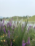 Suncheon(순천)에 있는 2third m님의 핀