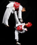 Taekwondo에 있는 Clive Stephenson님의 핀 | 태권도, 무술