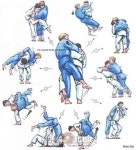 Pin by 최 on 유도 | Karate martial arts, Martial arts sparring, Martial arts techniques
