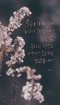 캘리그라피에 있는 은하수마음 캘리그라피님의 핀