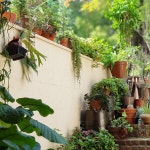 🍃 오늘 친구 49재~ 고등학교때 처음으로 버스 타고 표충사 절에 딱 이맘때 갔었다. 친구와의 추억 중 그때가 제일 기억에 남는데 ... 좋았던 그 날... 