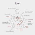 Pin by S ㅋ on 요가 | Yoga anatomy, Beginner poses, Yoga therapy