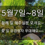 #원주꽃배달 #원주꽃집 #무실동꽃집  알바 구해요 010.8777.7808로 연락주세요 . . 모든 상담이나 주문은 010.8777.7808로 연락... 