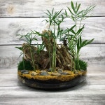 Пин от пользователя 제영미 на доске 테라리움 | Идеи озеленения, Растения... 