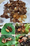 [ 스페이스본 본김밥, 유부초밥 + 삼겹살 + 기타 등등 ] | Food, Good morning everyone, Vegetables