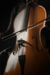 Pin de pdodo em 첼로 | Musica, Carie