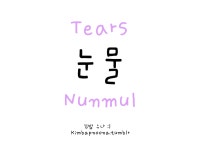 Pronun: Noon-mool • 눈 / noon ~ eyes & 물 / mool ~ water = tears | Korean words, Learn korean, Easy korean words