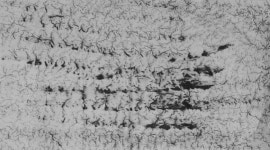 t117 B texture 박신영 37