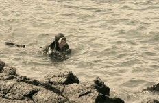 2008년 여름 김녕쪽에 한 바닷가에서... 거친숨을 몰아쉬는 해녀의 숨비소리에 그곳으로 고개를 돌려 한참동안 눈을 떼지 못했다. 저... 