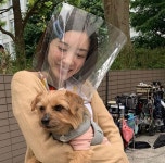 Instagram의 ☺︎님: “相変わらず動物似合う🐶 #永野芽郁 #オヤハル #親バカ青春白書” - 2020