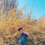 따뜻한 봄날에 화보 찍어서 좋았던 퍼스트룩 화보~ #StrayKids#STAY#IN스타그램#🌸🦊🌸 | Selebritas, Wattpad, Membaca