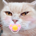 @marininimmmk 꾸꾸네가 콩이 곱게 화장해주었어요ㅋㅋ 고맙다옹!💕