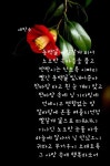 poet by 세탁소❤️ | 세탁소