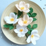 paper flowers에 있는 배연예님의 핀