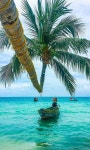 Pin de (주) MERDOR en 산산산 .바다 . 명산의 천길 만길 | Koh tao, Vacaciones en mexico, Paisajes