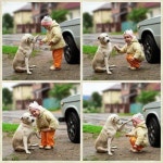 Facebook 김호중님 사진에서 받아왔습니다. 감사합니다^^* | 개 유머, 코기 강아지, 웃긴 동물