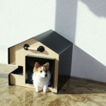 Together Design (투개더디자인)    Industrial house     A companion house    인더스트리얼 디자인   반려동물 하우스    반려동물... 