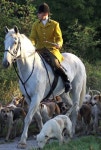Master of the hounds | 말