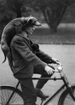 Hang on! A dog hangs on for dear life while its master pedals along! | 친한 친구, 개, 흑백
