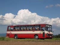 Ikarus 256 1974–98 | 버스