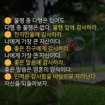 평생 명심해야 할 감사의 힘 50 | 명언, 영감을 주는 인용구, 어록
