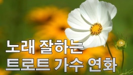 노래 잘하는 트로트 가수 연화 - 가요무대 트로트 베스트 좋은곡