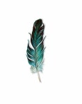 Feather | 깃털, 꽃그림, 드림캐쳐