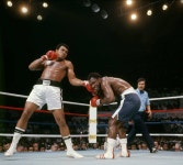 {title}(이미지 포함) | 복싱, 스포츠, 유명인사