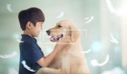 FUS181, 프리진, 그래픽, 사람, 동물, 그래픽, 인쇄, 편집, 인쇄편집, 합성, 편집포토, 배경, 풍경, 백그라운드, 반려동물, 강아지, 애견, 애완동물... 