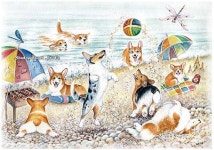 ✨ 웰시코기 전문견사 RealLine ✨ on Instagram: “부러운 녀석들... #corgi #vacation #beach #summer #corgilife” - 2020 | 웰시... 