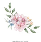 Pin en 보타니컬