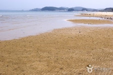 Muchangpo Beach (무창포...