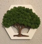 Pin on 스칸디아모스