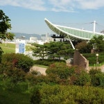 코오롱 야외음악당 Kolon Field Concert Hall에서 Check-in | 대구광역시