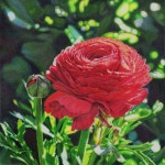 색연필 1 (colored pencil)에 있는 BongAe Song님의 핀 | 색연필