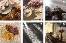 나니스펫푸드(이미지 포함)