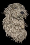 Dog Portrait from Corrugated Cardboard by Ali Golzad | 공예, 일러스트레이션, 조각