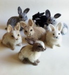 악세사리에 있는 실비아님의 핀 - 2020 | 인형, 공예, 펠트