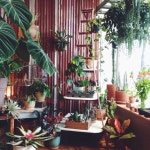 Via Instagram @aleajoy Beautiful garden and botanical shop. | 원예