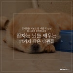 잠자는 뇌를 깨우는 17가지 작은 습관들 - 2020 | 자기계발, 교육