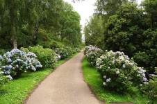 Comparing French vs English Garden Landscaping | Outdoor gardens, Hydrangea care, Farm landscaping